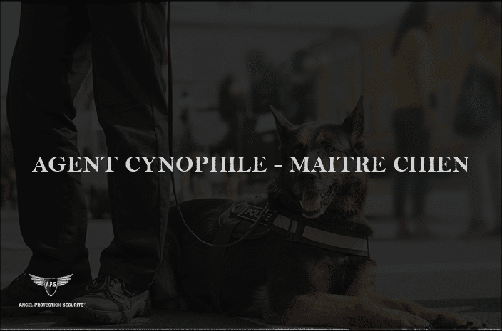 AGENT CYNOPHILE MAITRE CHIEN